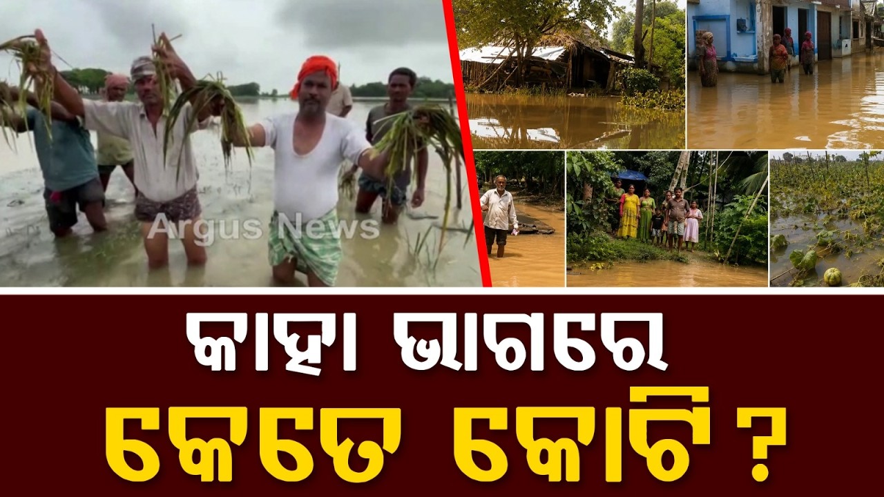 Odisha Flood Relief:Govt Announces ₹110 Crore Aid for 22 Districts | Balasore & Jajpur Get Max Share