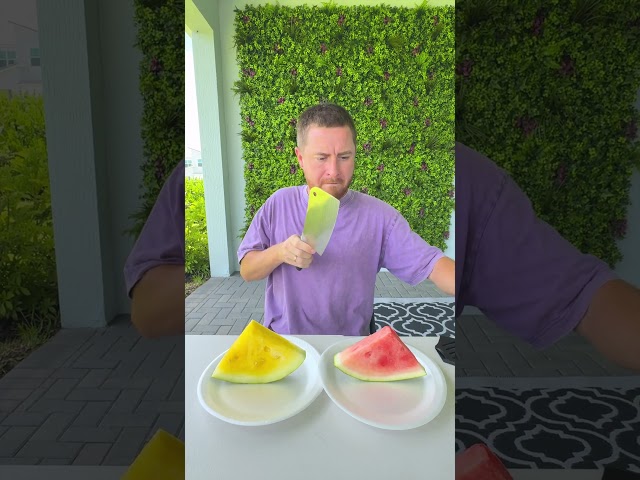 How to Share Watermelon Properly 😎🍉❤️ #shorts #khamitovy #martaandrustam
