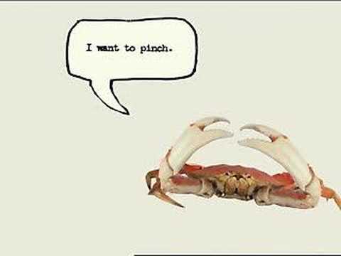 Advertisement crab element honda #3