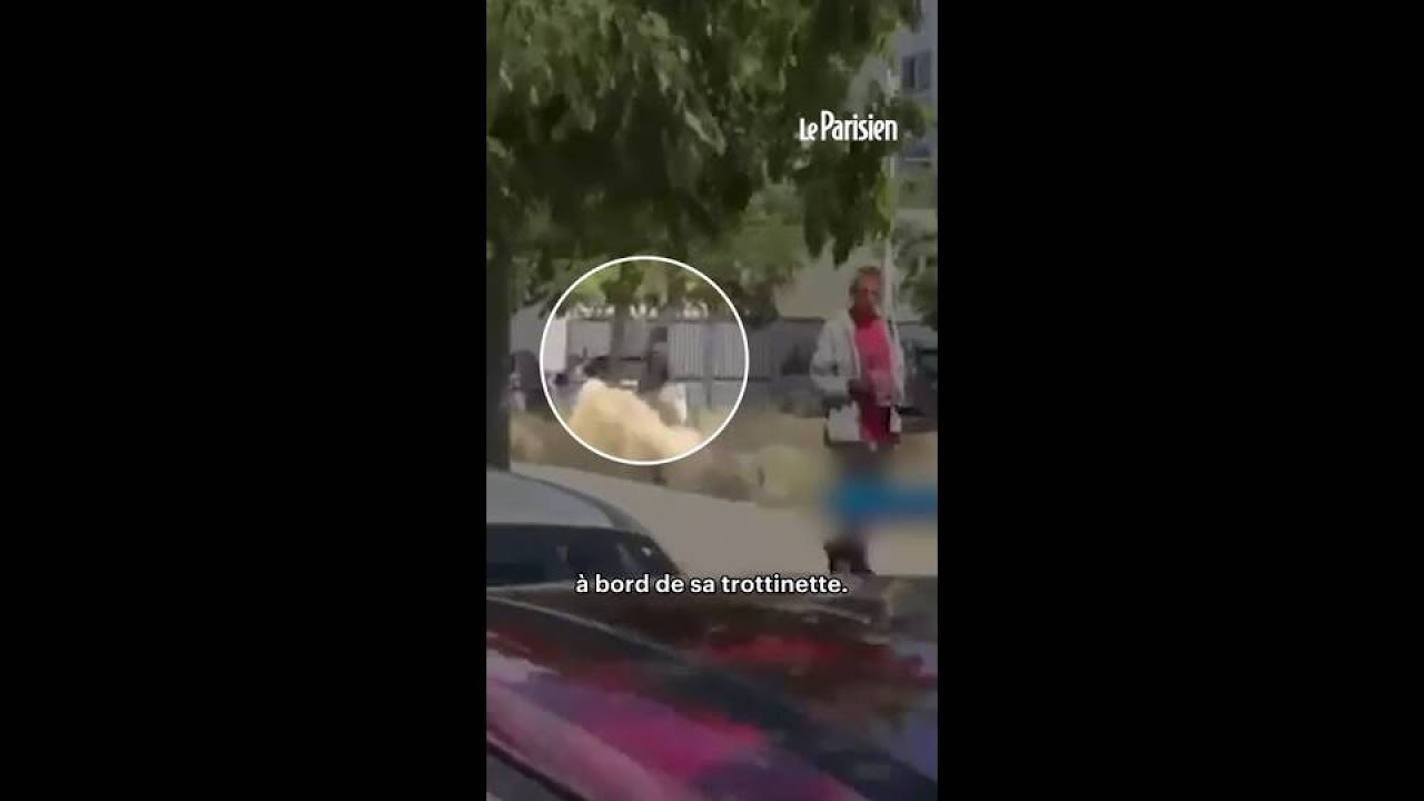Fusillade à Nice : le tireur aurait pris la fuite en trottinette