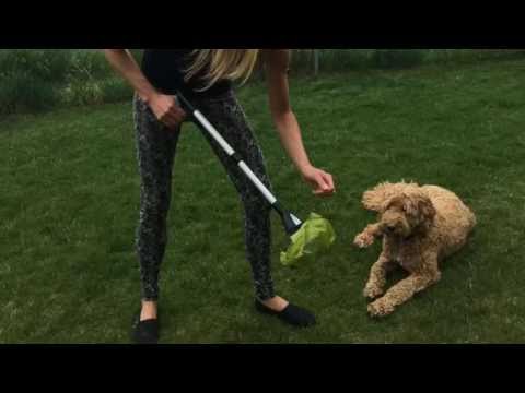 Best Pooper Scooper for Dogs Both Large & Small - Dadson Hea