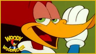 Woody Woodpecker a priatelia - Vtk