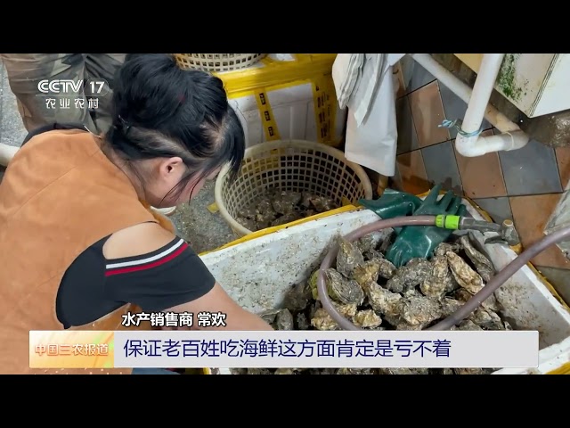 [中国三农报道]夏日丰景 辽宁大连 海洋牧场迎来收获旺季 | 农业致富经 Agriculture And Farming