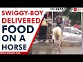 Swiggy-boy delivered food on a horse, video goes viral