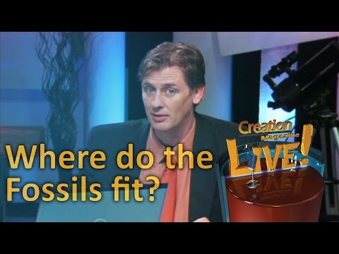 Where do the fossils fit? -- Creation Magazine LIVE! (2-11)