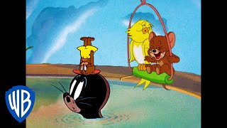 Tom a Jerry - Jerry a jeho přátelé