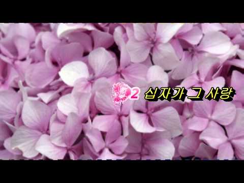 CCM♡가슴 뭉클한 찬양 피아노 연주곡집 침묵기도 3CD▩최고의CCM앨범집