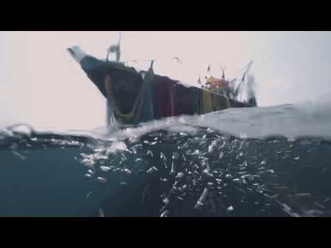 Against the Tide'