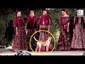 Street dog enters Rohit Bal's Fashion Show, steals limelight