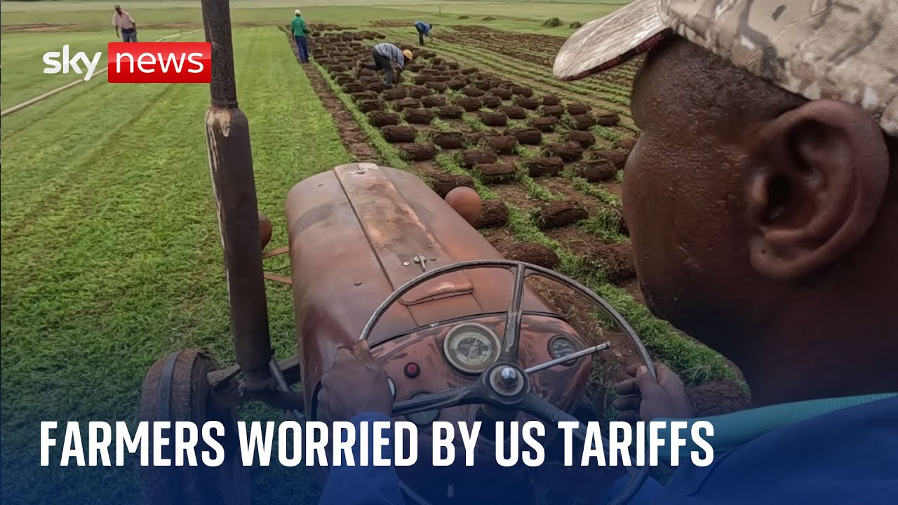 Tens of thousands of jobs on South Africa's citrus farms at risk if US imposes tariffs
