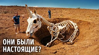 Да, единороги были реальны: откройте истинную историю