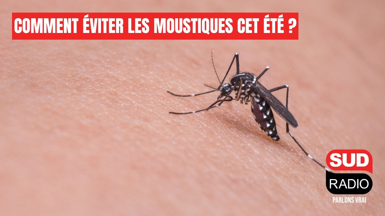 Comment éviter les moustiques cet été ?
