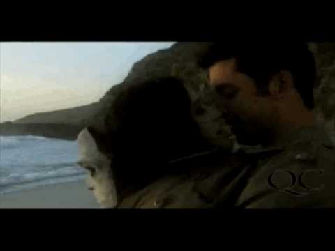 The Lost Coast'