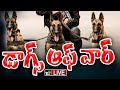 LIVE : Indian Army Dogs  | Part Of Army |  భద్రతలో ఆర్మీకి ధీటుగా జాగిలాలు | 10TV