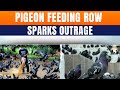 Faith Vs Health: Jain Community Protests Mumbai’s Ban On Feeding Pigeons | News9