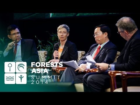 Forests Asia 2014 – Day 2 High-Level Panel Discussion, Investing in landscapes for Green Returns
