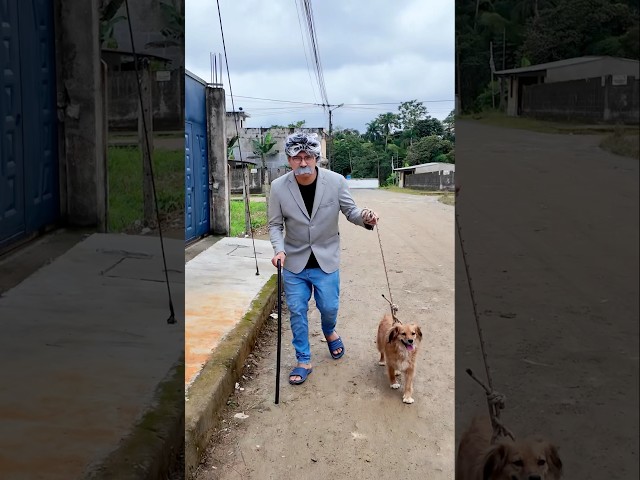 ADOPTÉ A UN PERRITO 🐶🦮