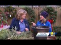 Sunday Gardener: Holiday craft ideas from Valley View Farms(WBAL) - 02:56 min - News - Video