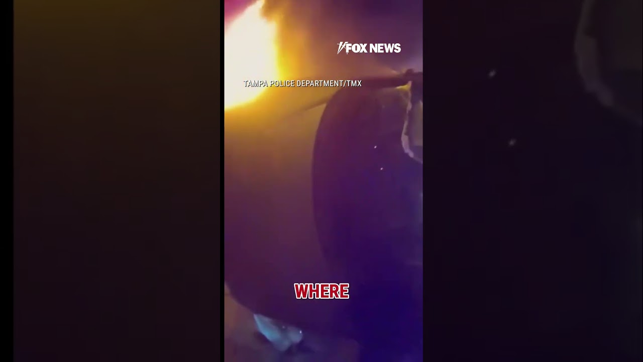WATCH: Woman rescued from fiery car crash in Tampa #crash #police #florida #tampa #emergency #rescue