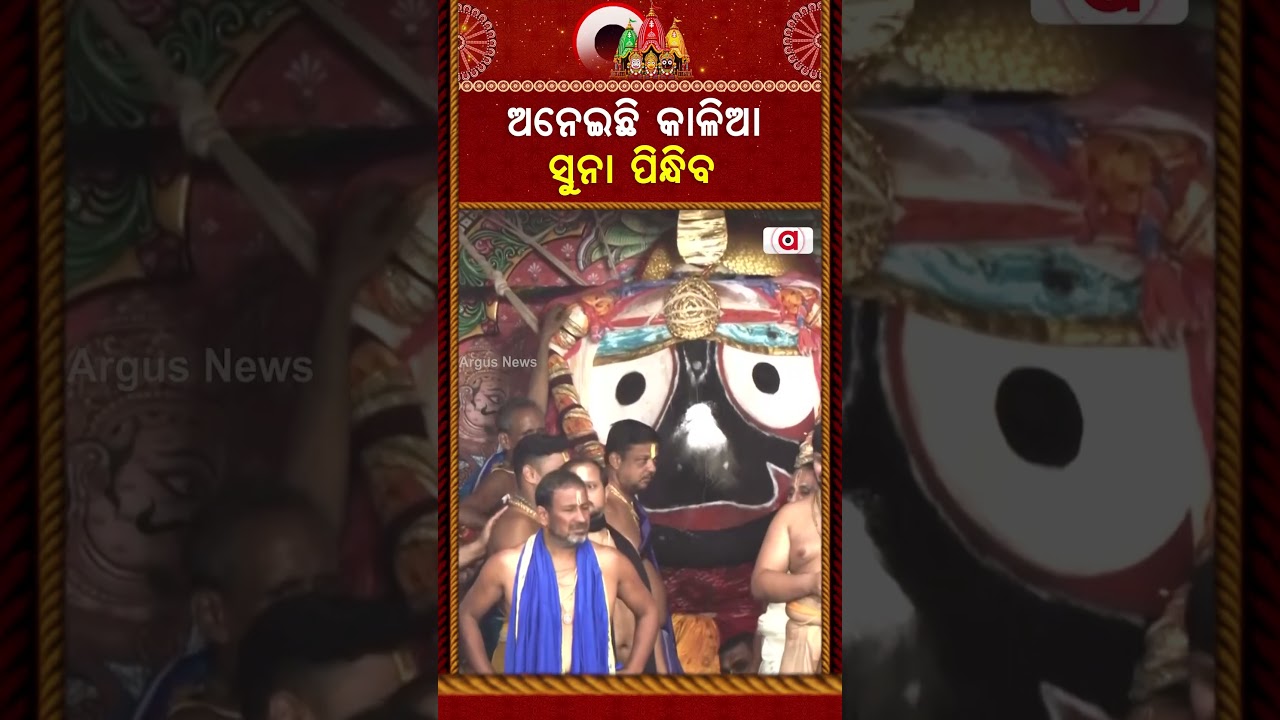 ଅନେଇଛି କାଳିଆ ସୁନା ପିନ୍ଧିବ | Suna Besha 2026 | Suna Besa | Rath Yatra 2026 | Rath Jatra | Argus News