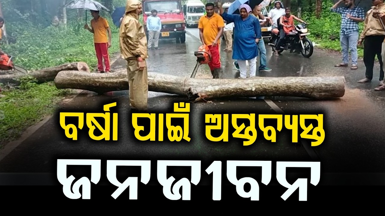 Flood-Like Situation in Koraput: Gupteswar Road Blocked; Dashamantpur Worst Hit | Argus News