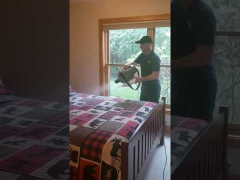 Video realizado por la propiedad