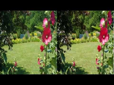 Stunning Stereoscopic 3D Video "Le Jardin de Fleurs" HD YT3D 3DTV