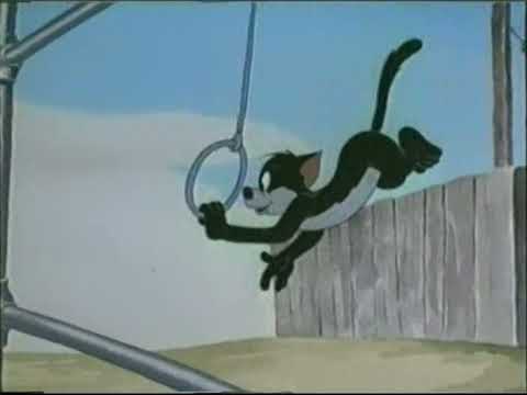 Cat-Tastrophy'