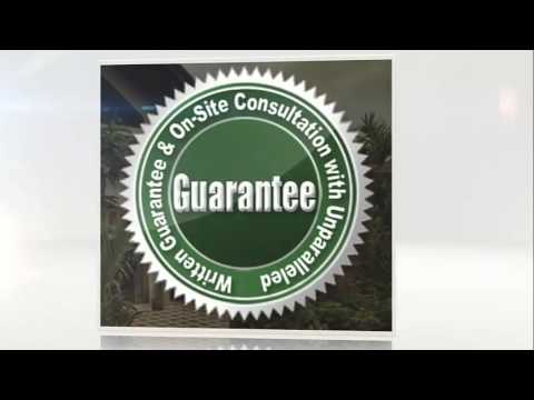 Maximum Pest Control- Fast 24hr Bedbugs, Wildlife & Pest Extermination. - YouTube