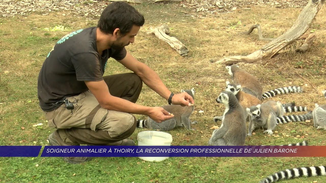 Yvelines | Soigneur animalier au zoo de Thoiry, la reconversion professionnelle de Julien Barone