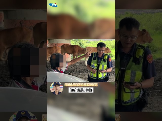 影/南瓜牛車變回？潮州大橋驚見「藍寶堅尼」 駕駛被迫停下
