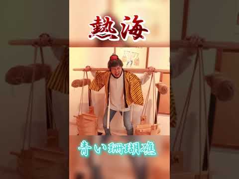 「熱海」で「松田聖子/青い珊瑚礁」歌った結果!! #Shorts