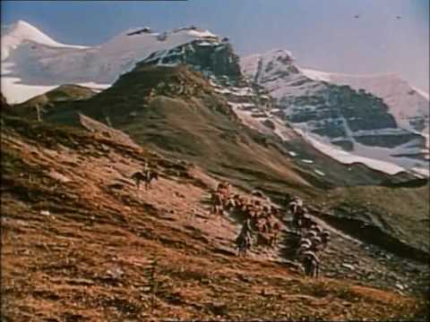 The Far Country'