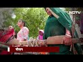 Heatwave In UP: Indradev को प्रसन्न करने के लिए UP में विशेष पूजा, कराई मेंढक-मेंढकी की शादी  - 02:32 min - News - Video