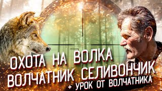 Охота на волка в Беларуси с легендарным ВОЛЧАТНИКОМ. Волк добыт! Охота на вабу с Селивончиком П.Т Охота на волка в Беларуси с легендарным ВОЛЧАТНИКОМ. Волк добыт! Охота на вабу с Селивончиком П.Т