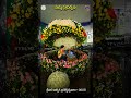 పుష్ప ప్రదర్శన ||  శ్రీవారి వార్షిక బ్రహ్మోత్సవాలు -2025|| SVBC TTD