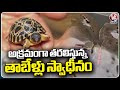 Police Arrested Illegal Tortoise Smugglers At Cuttack | Odisha | V6 News