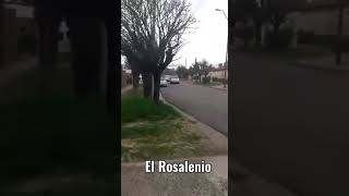 La emotiva caravana “Baby Shower”