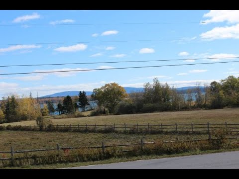 Property video