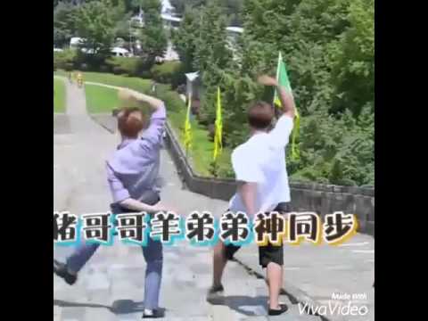 Exo lay funny moments