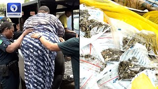 Suspected Female Drug Kingpin, Others Arrested In Abia