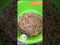 תערובת זרעים פרו-פט להשרייה 1 ק''ג במשקל