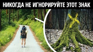 100+ советов по выживанию, когда становится трудно