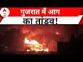 Gujarat में आग का तांडव, वलसाड में तेल फैक्ट्री में लगी आग | ABP News | Hindi News