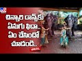 Elephant enjoys girl's classical dance, Anand Mahindra shares video