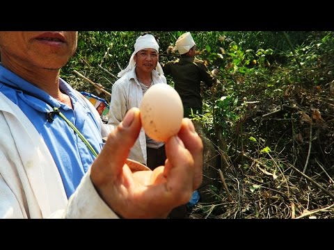 BÍ ẨN TÂY BẮC | Trứng Ném Không Vỡ