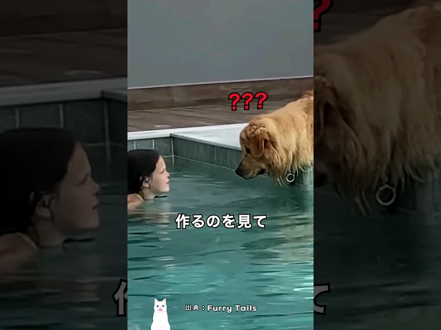 犬が学習するのにかかる時間