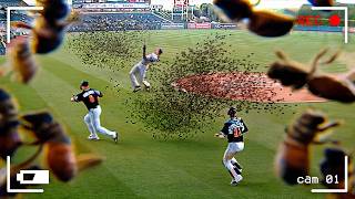 70 Случаев, Когда Животные Сорвали Спортивные Мероприятия