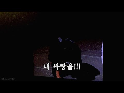 20171126 엘리시온 엔딩 멘트 (자막ver) ElyXiOn Ending Comment
