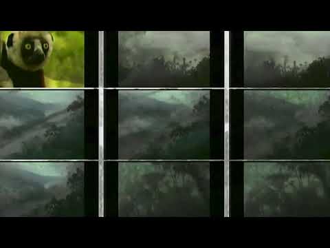 Huebline - Animal (Official Music Video)